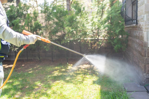 Best Organic or Eco-Friendly Pest Control  in Central, TN